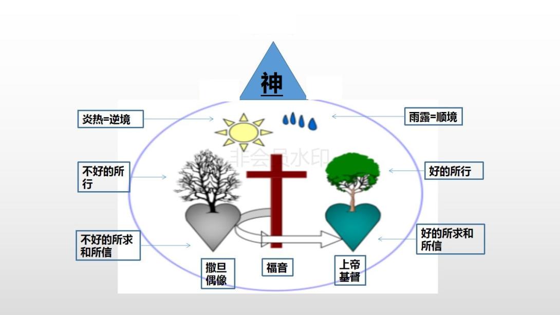 三棵树模型